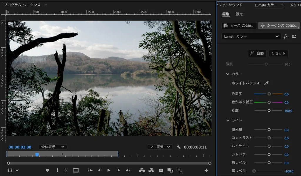 Premiere Pro Lumetri Color 11 1024x599