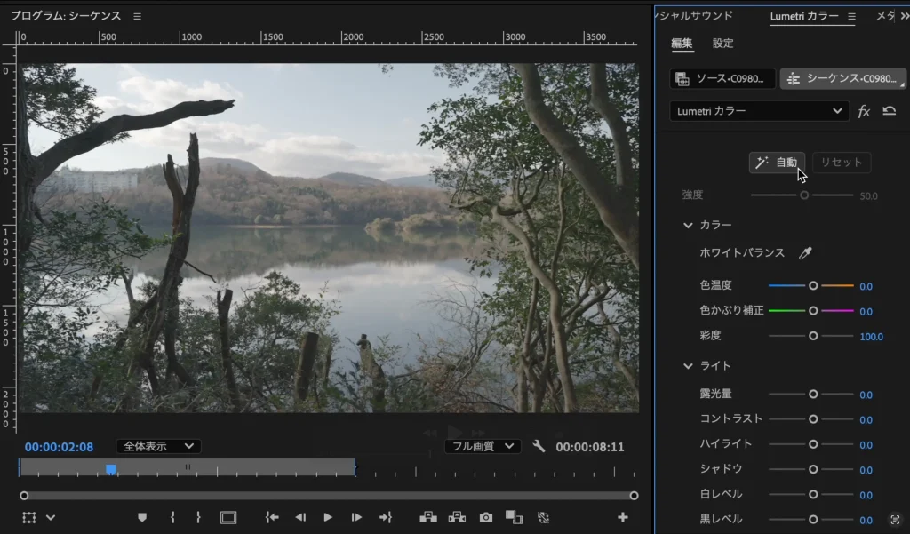 Premiere Pro Lumetri Color 2 1024x601