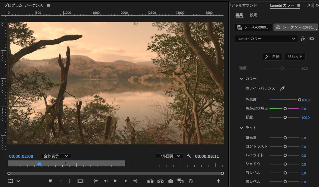 Premiere Pro Lumetri Color 3 1024x599