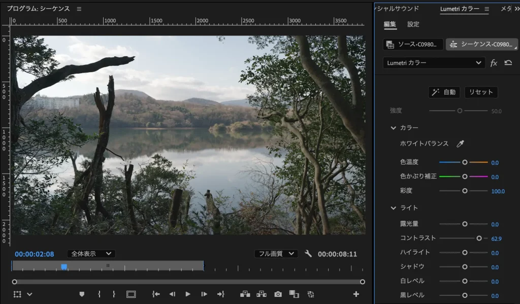 Premiere Pro Lumetri Color 7 1024x599