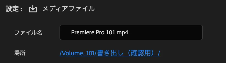 Premiere Pro Export Video 4
