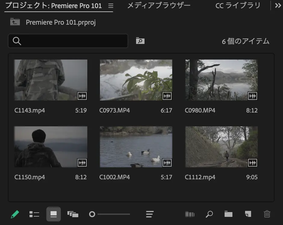 Premiere Pro Project Settings 6