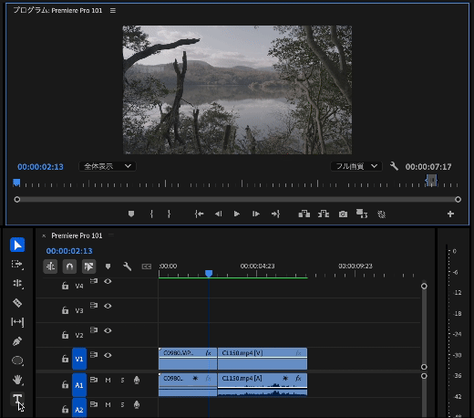 Premiere Pro Text 1 1