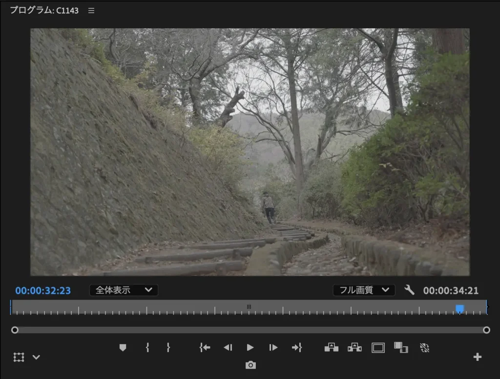 Premiere Pro Workspace 11 1024x775