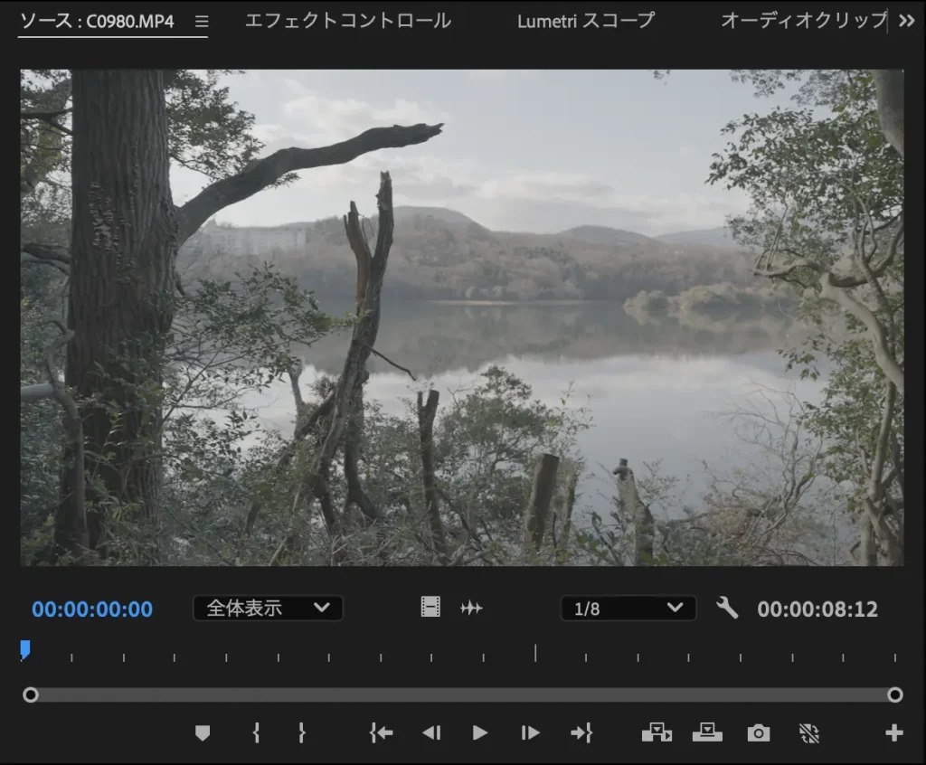 Premiere Pro Workspace 6 1024x846